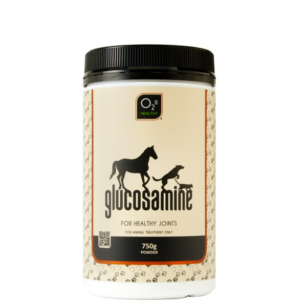 Glucosamine Powder - For Healthy Joints