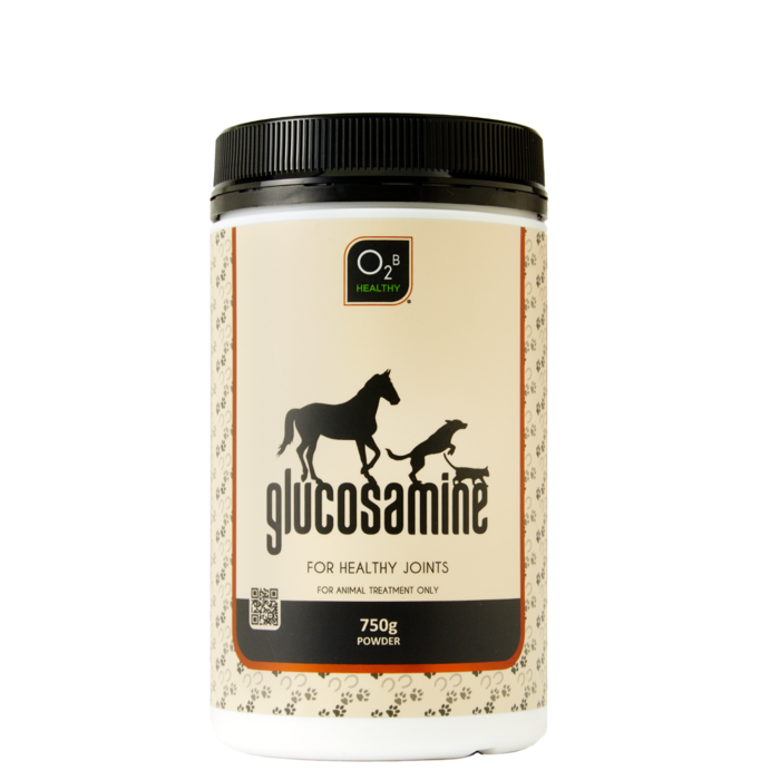 Glucosamine Powder - For Healthy Joints