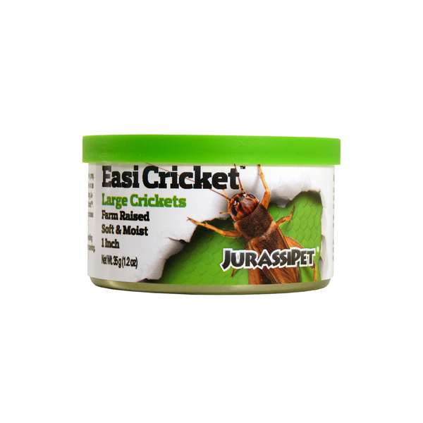 Easi Cricket - Large 