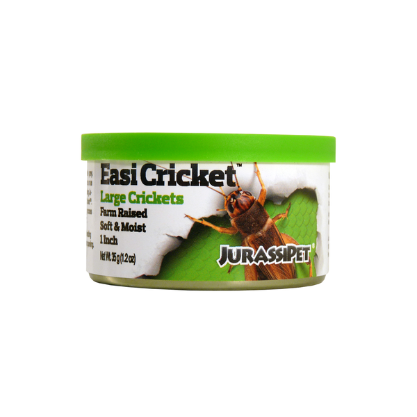 Easi Cricket - Large 