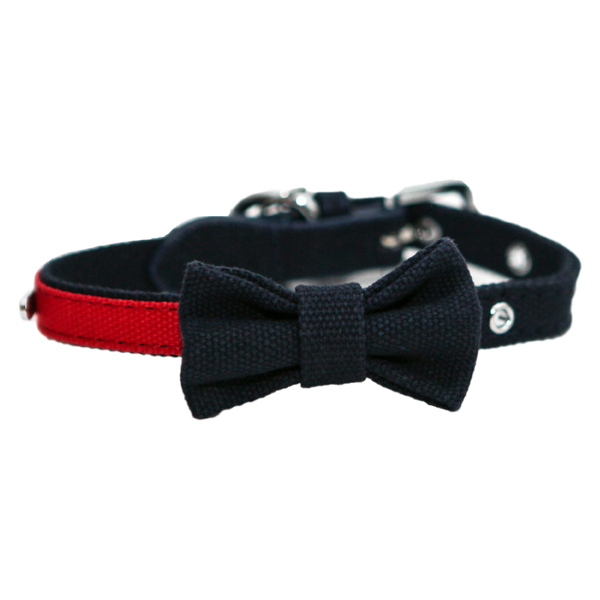 Navy and Red Bow Collar 