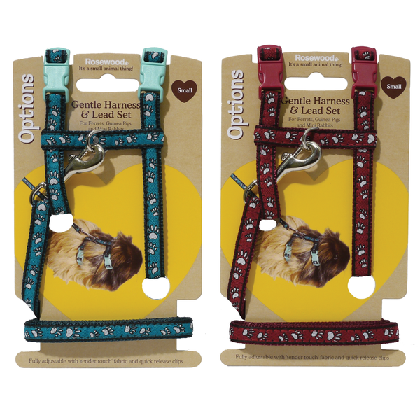 Small Animal Paw Print Harness and Lead Set