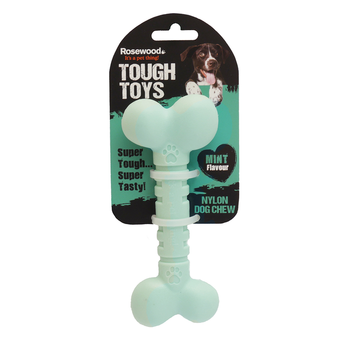 Nylon Dog Chew Bone - Mint