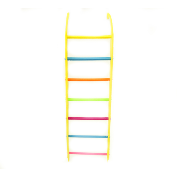 Multicoloured Ladder 