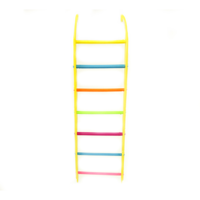 Multicoloured Ladder 