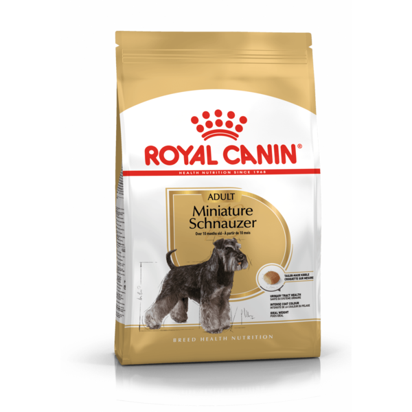 Adult Miniature Schnauzer