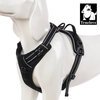 Front Range 3M Comfort Harness 