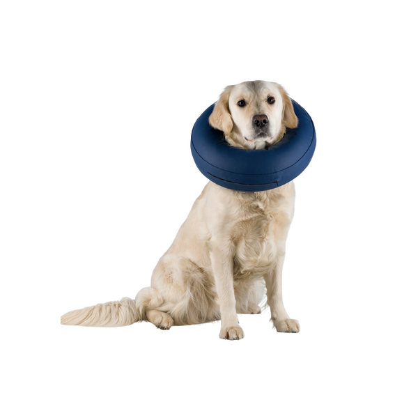 Inflatable Protective Collar
