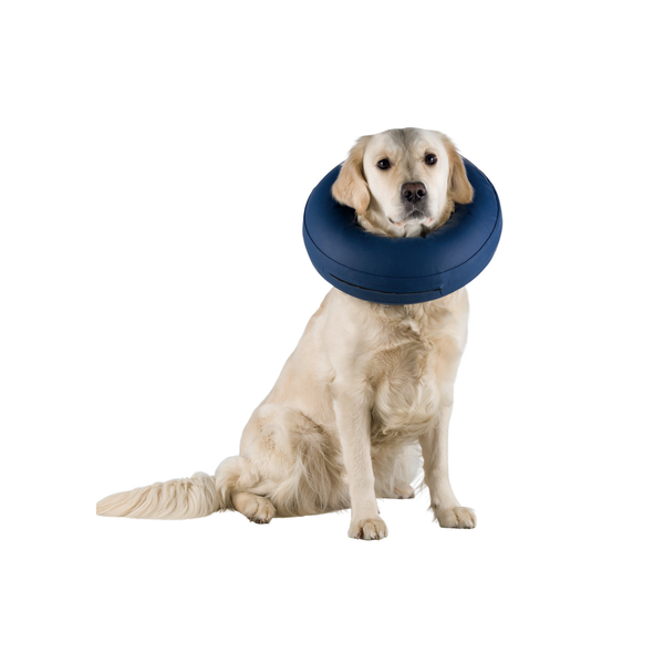 Inflatable Protective Collar