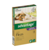 Advantage Cat Over 4kg 6 Pack