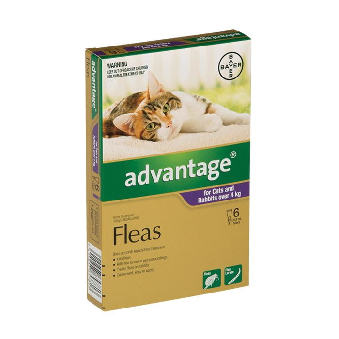 Advantage Cat Over 4kg 6 Pack