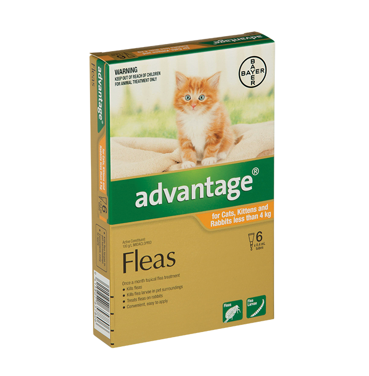 Advantage for cats 6 pack sale