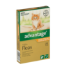 Advantage Cat Under 4kg 6 Pack