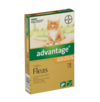 Advantage Cat Under 4kg 6 Pack