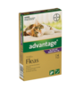 Advantage Cat Over 4kg 4 Pack