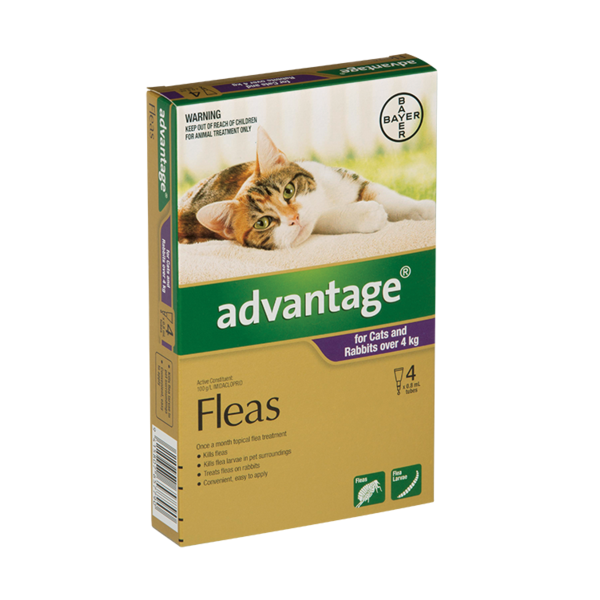 Advantage Cat Over 4kg 4 Pack