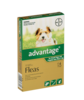 Advantage Small Dog Under 4kg