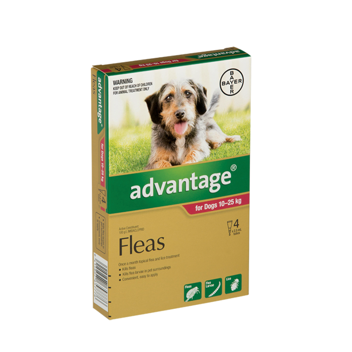 Advantage Large Dog 10-25kg