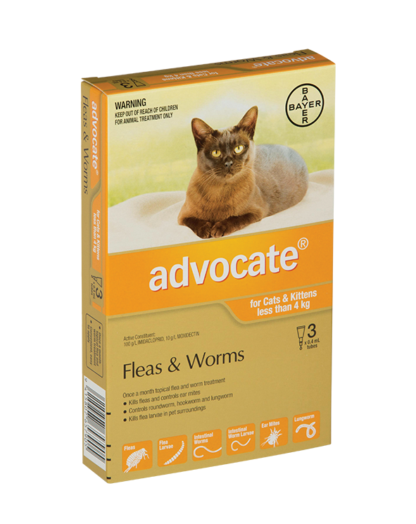 Advocate Cat Under 4kg 3 Pack CatFlea & WormFlea Treatments Pet
