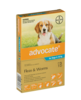 Advocate Medium Dog 4-10kg