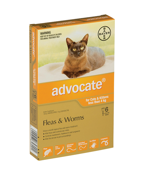 advocate cat 6 pack