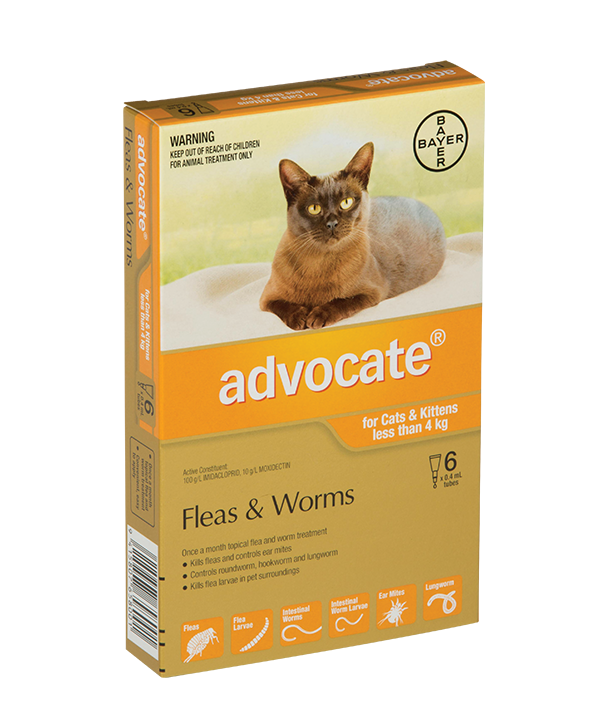 advocate flea treatment for cats