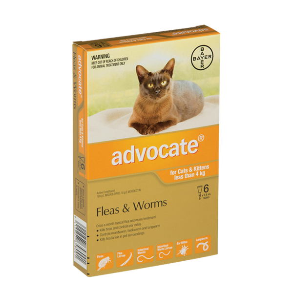 Advocate Cat Under 4kg 6 Pack