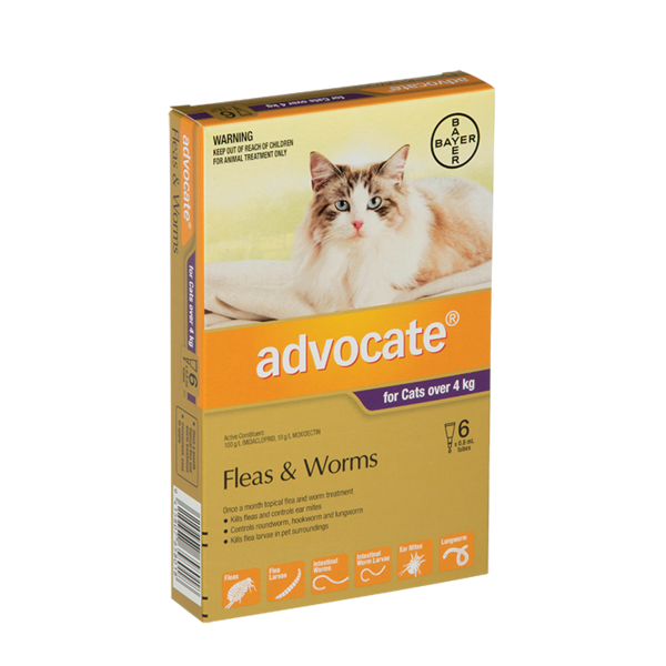 Advocate Cat Over 4kg 6 Pack