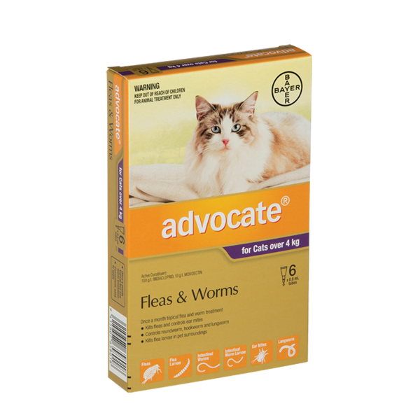 Advocate Cat Over 4kg 6 Pack