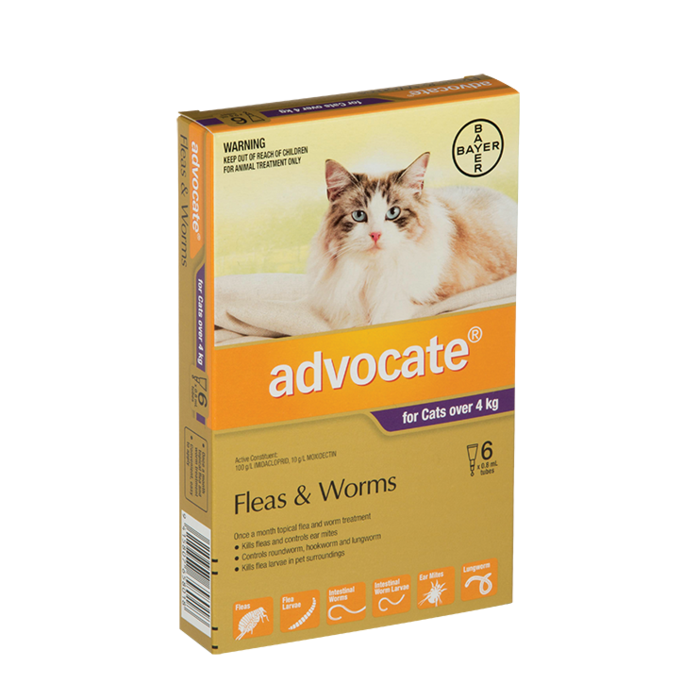 Advocate Cat Over 4kg 6 Pack
