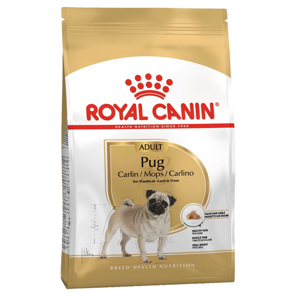 Pug