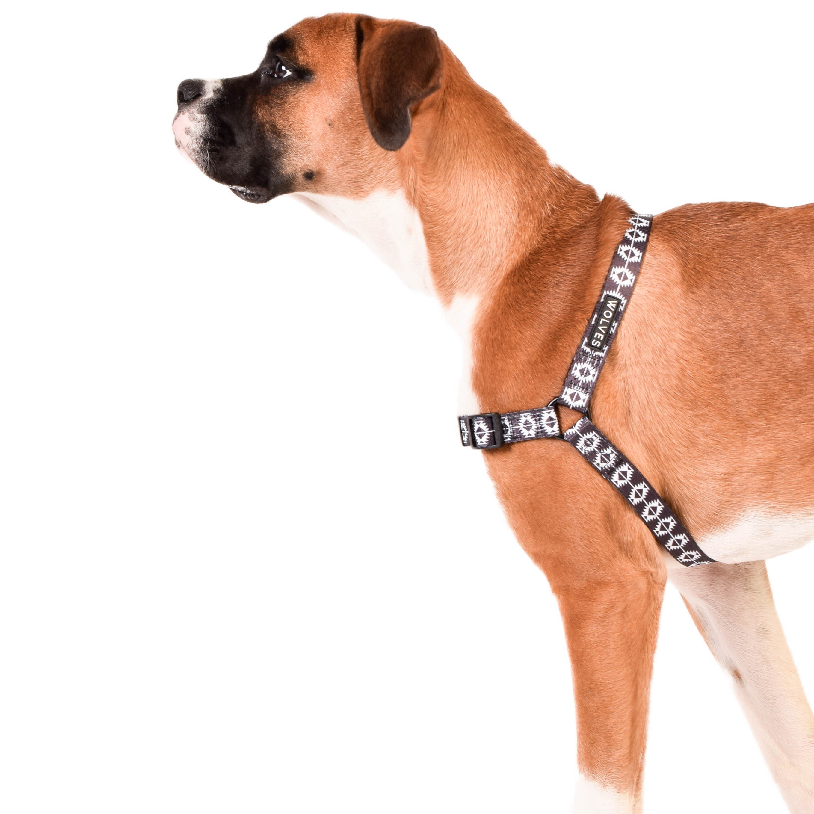 Indy Dog Front Clip Harness DogCollars, Leads & HarnessesHarnesses