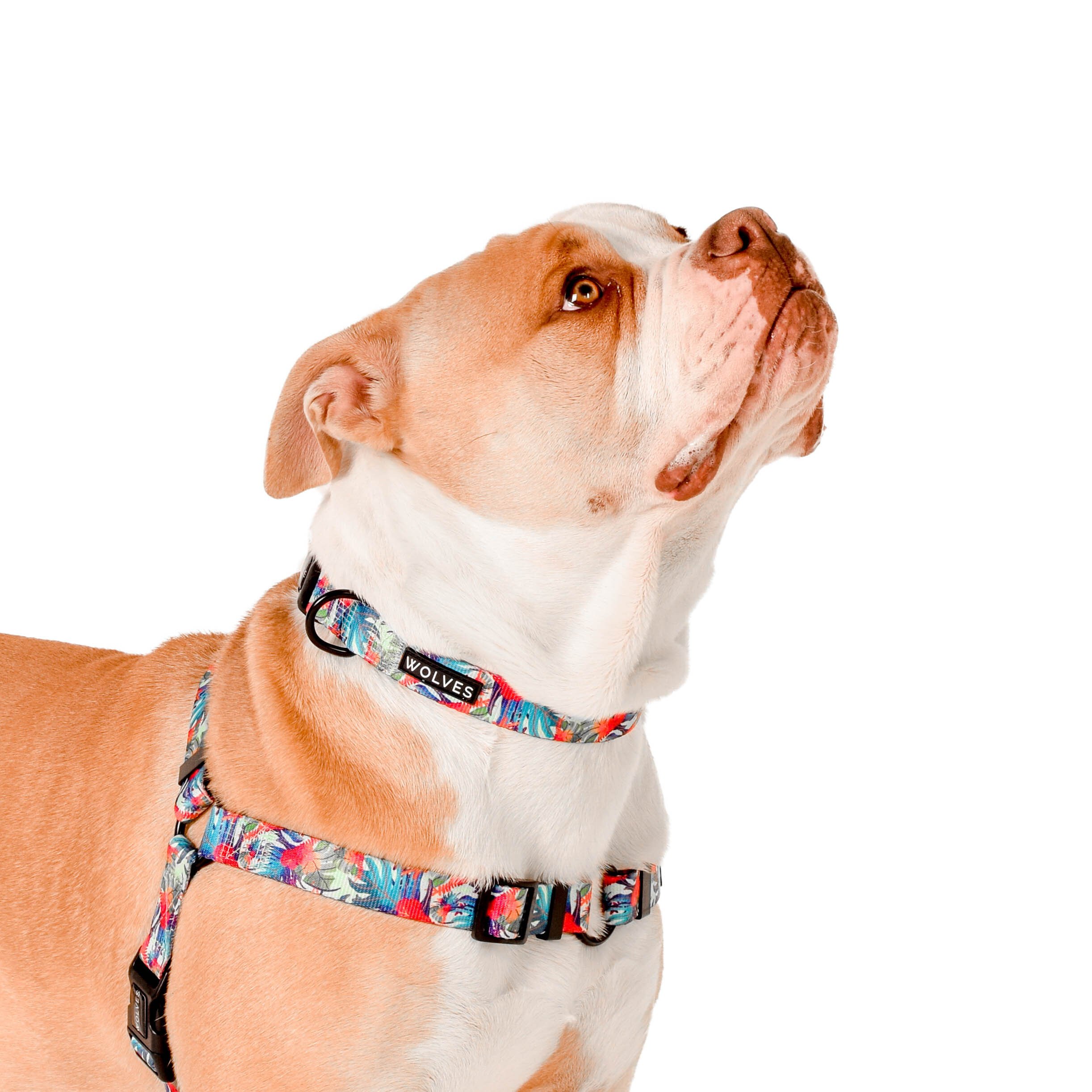 Tropicool Dog Clip Harness - Dog-Collars, Leads & Harnesses-Harnesses