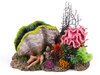 Clam with Coral, Plants and Air - XLarge