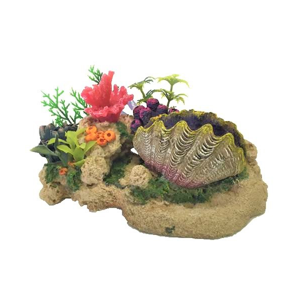Clam with Coral, Plants & Air - Medium