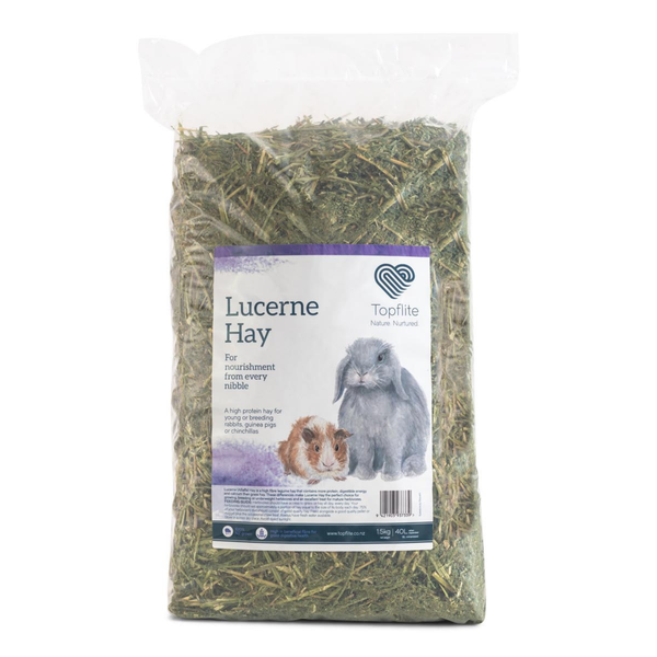 Lucerne Hay