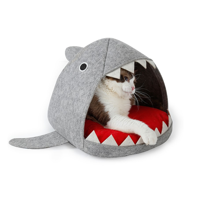 Shark Felt Cave