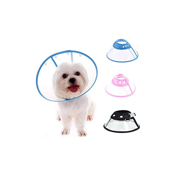 Elizabethan Collar for Small Breeds