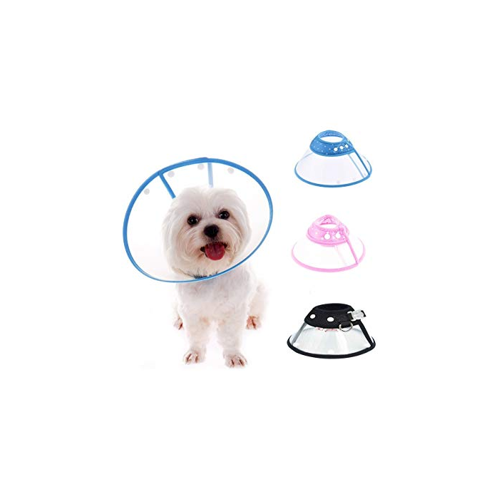 Elizabethan Collar for Small Breeds