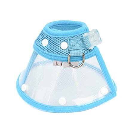 Elizabethan Collar for Small Breeds - Dog-Collars, Leads & Harnesses