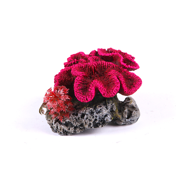 Coral with Plant - Small