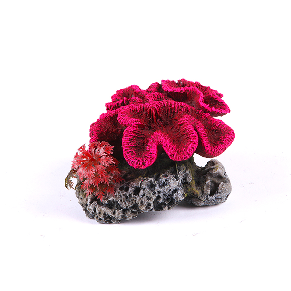 Coral with Plant - Small