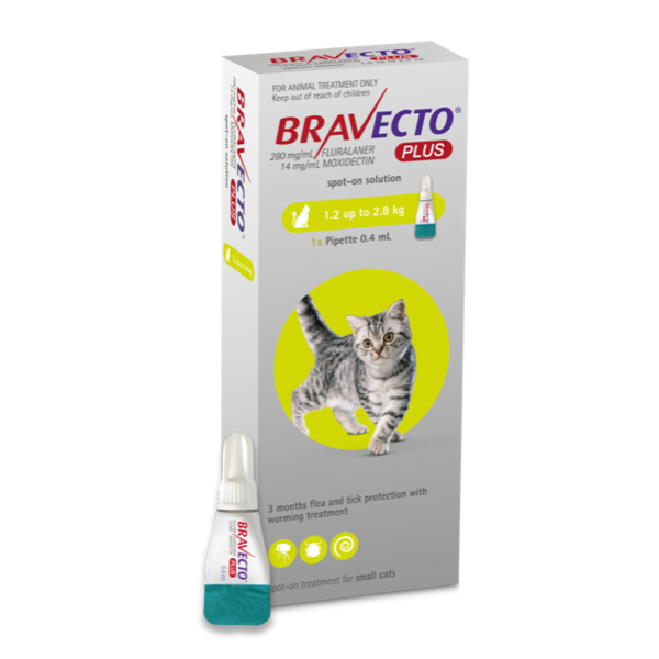 Bravecto Plus Spot-on for Small Cats 1.2 - 2.8kg
