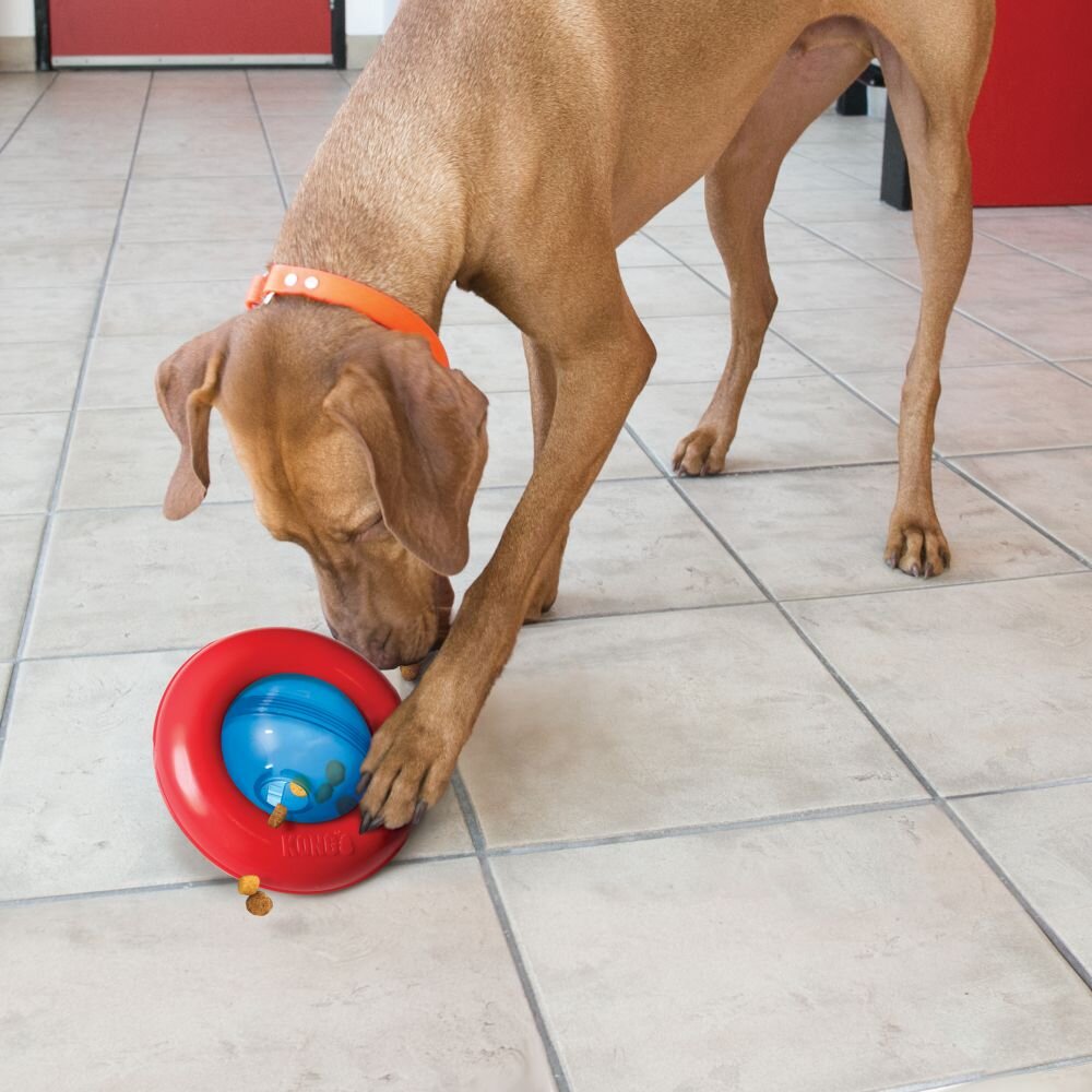 Kong Gyro Ball DogToysChase & Fetch Pet Shop Auckland Pet.kiwi