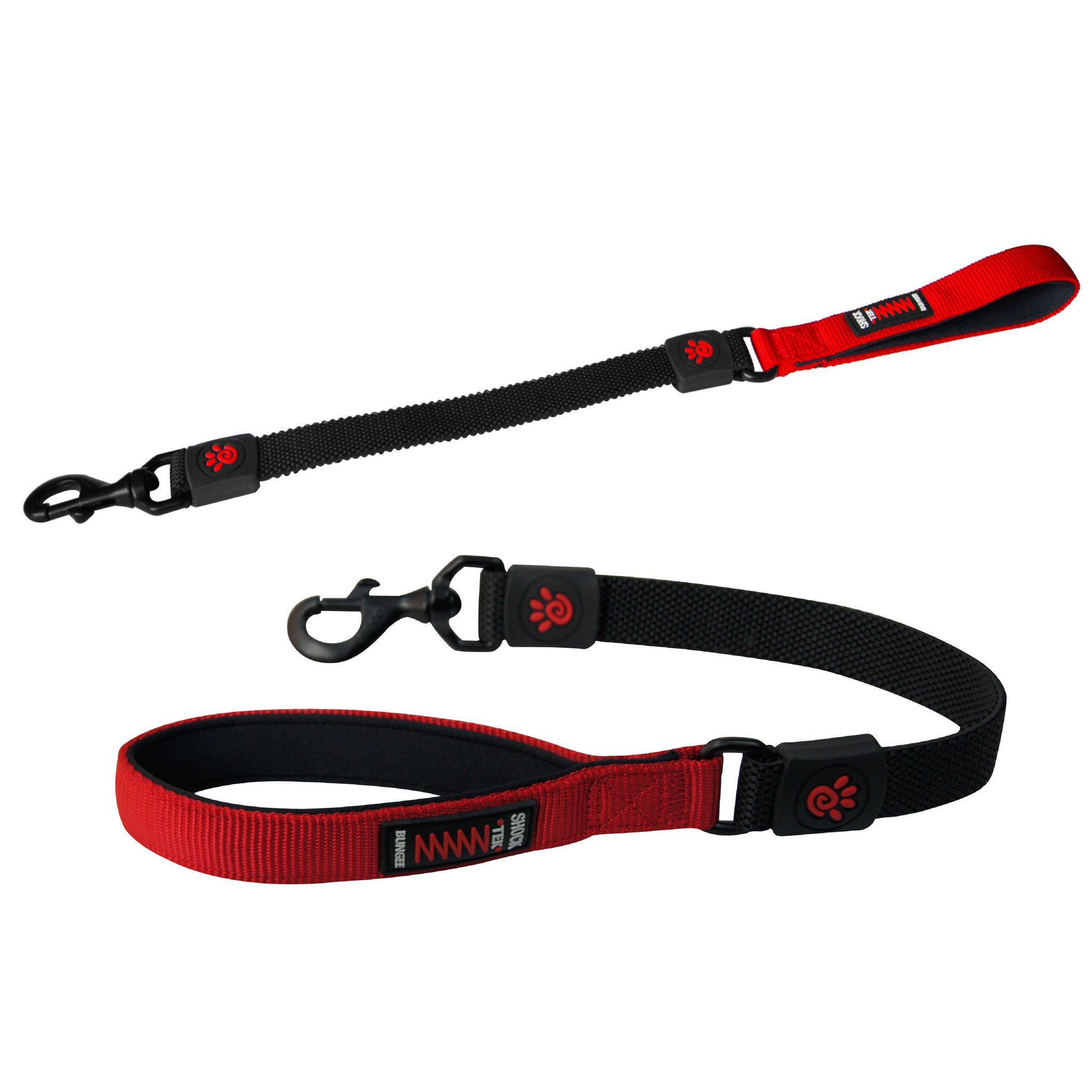 short leash dog