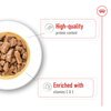 Medium Wet Adult Food