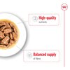 R/C Maxi Dog Adult Wet  Food
