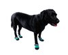 Soft Sole Waterproof Dog Shoes