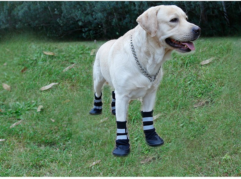 All Weather Dog Boots DogClothingShoes Pet Shop Auckland Pet.kiwi