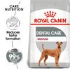 Medium Dental Care 